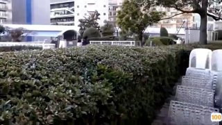 av日本演员,成人视频高清免费观看